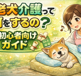 ChatGPT Image 2025年12月21日 11_20_36