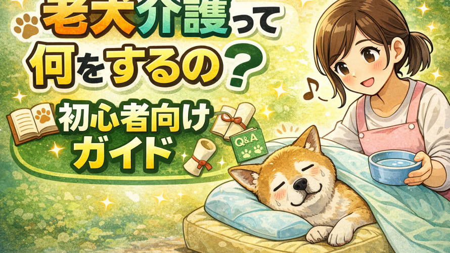 老犬介護の始め方｜いつから？何をする？基礎知識と対応の全体像