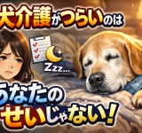 ChatGPT Image 2025年12月18日 18_47_27