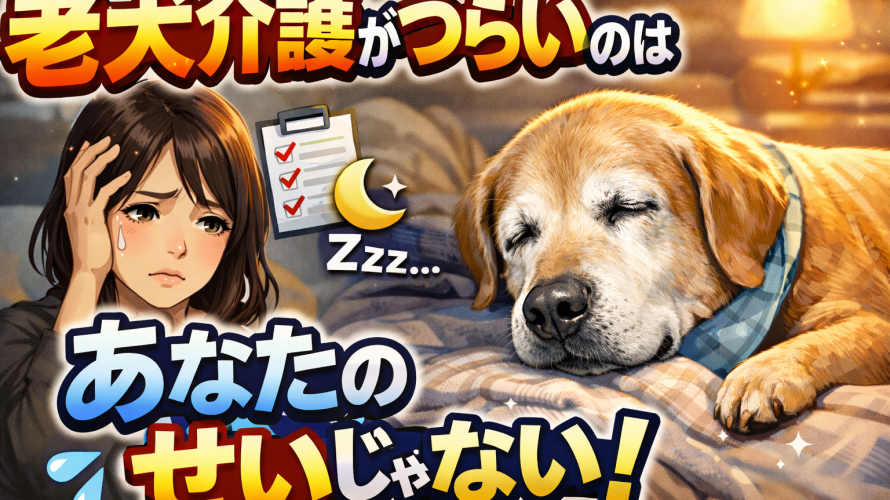 ChatGPT Image 2025年12月18日 18_47_27