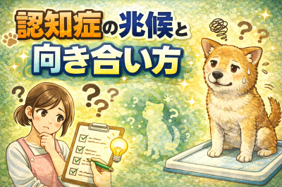 ChatGPT Image 2025?12 月21日 14_42_22 (1)