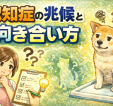 ChatGPT Image 2025?12 月21日 14_42_22 (1)