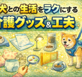 ChatGPT Image 2025?12 月21日 14_43_06 (1)